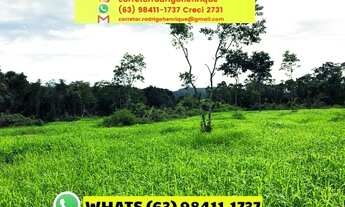 Imagem 3: Fazenda 474,32 hectares Centenário