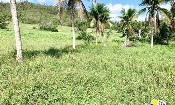 Imagem 2: Fazenda à Venda em Alagoinhas - Bahia