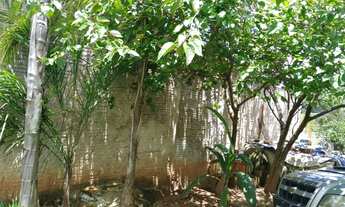 Imagem 2: Rancho Chácara com venda por R$90.000