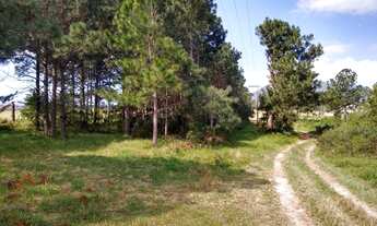 Imagem: ÁREA para LOTEAMENTO 50 permuta!