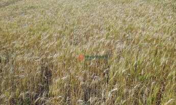 Imagem 3: Chácara com 2 dormitórios à venda, 79860 m² por R$ 1.200.000,00 - Cidade dos Lagos - Guara