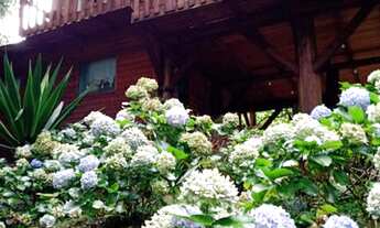 Imagem 4: Sítio bairro Progresso