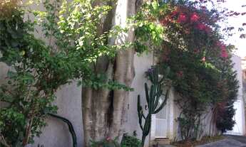 Imagem 1: Ótimo sobrado na região do Jardim França. Só R$3.902 pelo m2 da construção