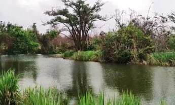 Imagem 6: Vende-se 12 alqueires em Uberlândia/MG , riquíssimo em água