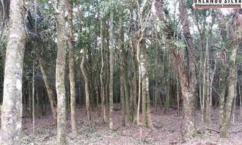 Imagem 5: 14min Piraquara/23min Centro S. José/27min Curitiba/Terreno/2.000m²/ R$181mil