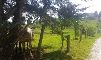 Imagem 2: Chacara Com 22.000 m/2 tanque de peixe