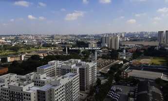 Imagem: SãO PAULO - Padrão - Interlagos