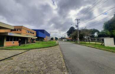 Imagem 3: Galpão em Weissópolis - Pinhais, PR