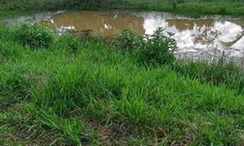 Imagem: Chácara para Venda em Rio das Ostras, Cantagalo