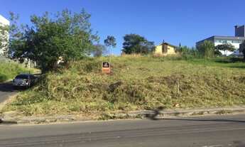 Imagem 7: CRICIÚMA - Terreno Padrão - PRÓSPERA