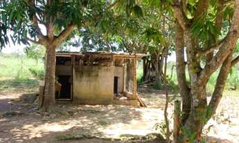 Imagem 7: Chácara em taboquinha GO