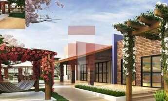 Imagem 6: Lotes em condomínio