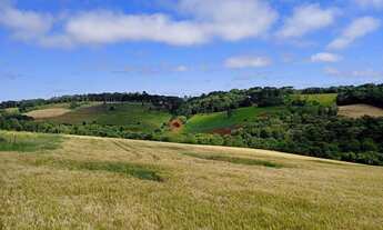 Imagem 5: Chácara com 2 dormitórios à venda, 79860 m² por R$ 1.200.000,00 - Cidade dos Lagos - Guara