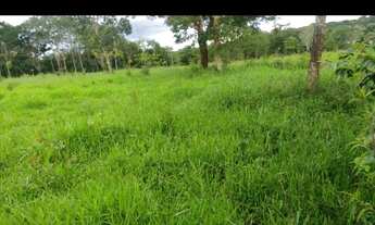 Imagem 2: Oportunidade! Vende-se uma excelente fazenda de 12 Alqueires