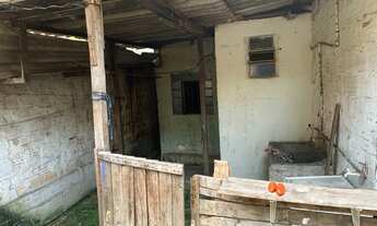 Imagem 3: Barracão Casa com 2 dormitórios