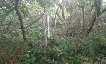 Imagem 3: Vendo uma chácara