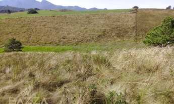 Imagem 5: Rural chacara com 1 quarto - Bairro Águas Claras em Piraquara
