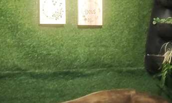 Imagem 5: CASA DE PRAIA, LUCENA-PB