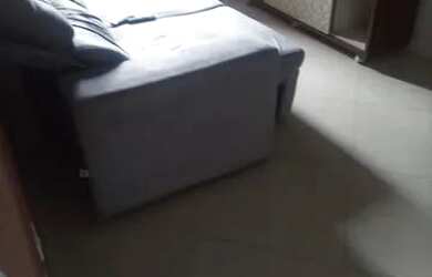 Imagem 5: Oportunidade Apartamento 52m² - 2 dorms