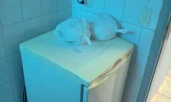 Imagem 6: Oportunidade Imperdível: Sala Comercial Disponível para Venda e Locação á 3 minutos do met