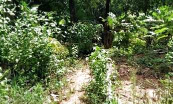 Imagem 2: Terreno 2700 m2 Terreno / lote com venda por R$150.000