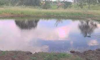 Imagem: Excelente oportunidade de comprar sua fazenda