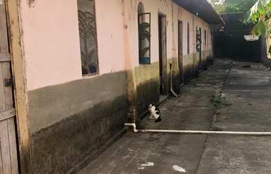 Imagem 2: 7 Kitnets +lojas comerciais no Manuel Sátiro - terreno