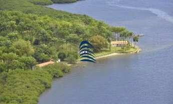 Imagem 5: Fazenda documentada, sem dívidas, totalmente regular, registrada no Cartório de imóveis de