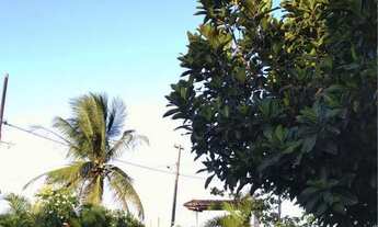 Imagem 5: Sítio em siriri