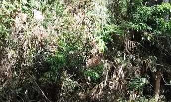 Imagem 2: Terreno em Santa Isabel