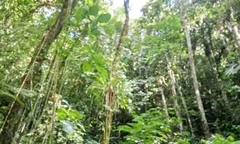 Imagem 6: 20 mil MTS rico em agua 79 mil reais 14 km da rodovia Regis Bittencourt