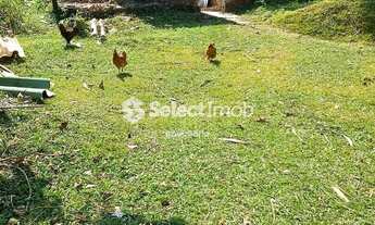 Imagem 3: Terreno à venda, Colônia, Ribeirão Pires, SP