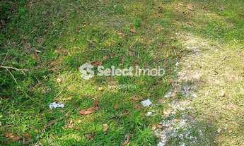 Imagem 2: Terreno à venda, Colônia, Ribeirão Pires, SP