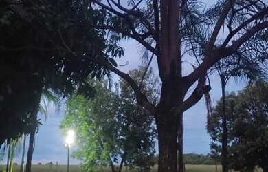 Imagem: Terreno condomínio beira do lago de Itumbiara