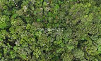 Imagem 7: Lote de Terreno à Venda na Região de Capivari - Campos do Jordão/SP