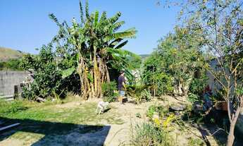 Imagem 3: Vendo lindo terreno todo murado de tijolo de bloco com frutas e com pequena casa meia agua