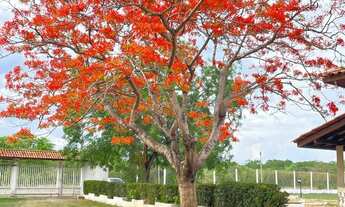 Imagem: Chacara Locação Eventos Evangelicos