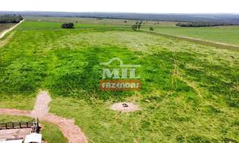 Imagem 3: Fazenda 255 Alqueires (1.234 Hectares) Aragarças - GO