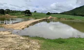 Imagem 5: ÁREA - RODOVIA GO, URUAÇU/GO