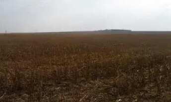 Imagem 3: Imóvel para venda possui 2675 metros quadrados em r - Sapezal - MT