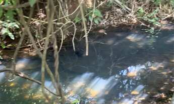 Imagem: 70 mil !Chácara com córrego /pega carro