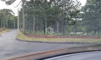 Imagem 5: TERRENO EM GRAMADO