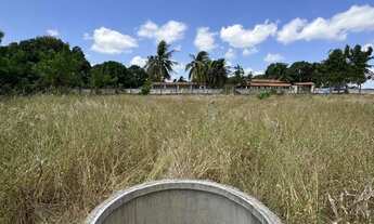 Imagem 5: 04 LOTES 12X30= 1.440 MTS, DE ESQUINA EM SÃO GONÇALO DO AMARANTE (PARADA