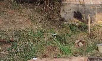 Imagem 2: Propriedade 200m