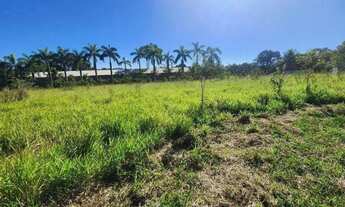 Imagem 4: Terreno à venda, 10000 m² por R$ 1.280.000,00 - Área Rural de Limeira - Limeira/SP