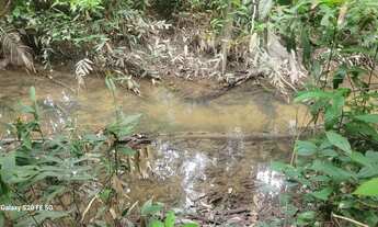 Imagem 4: Vende se 75 hectare de terra 300x2700