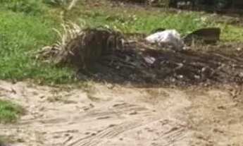 Imagem 5: Terreno à venda no bairro Balneário Ponta da Fruta - Vila Velha/ES