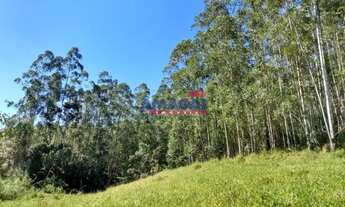 Imagem 4: Sitio à venda em Santa Branca, Mombuca