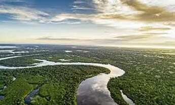 Imagem: AMAZONAS Área a venda de 10 mil hectares
