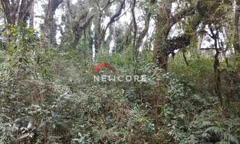 Imagem 5: Lote em Rua Arcenio Schimitt - Salto Eletra - São Francisco de Paula/RS